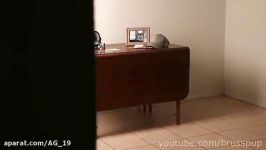 Amazing Anamorphic Illusions II