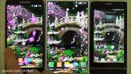 Sakura Live Wallpaper  free live wallpaper for Android