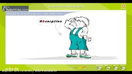 تفاوت Absorption Adsorption