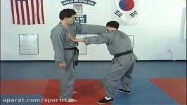 دانلود تکنیک های گردن در هاپکیدو Hapkido