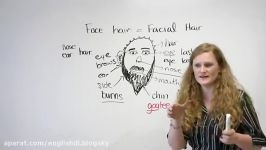 English Vocabulary – Hair and Parts of the Face