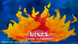 Savor Flamenco ۰9 Album Savor Flamenco ۲۰۱۳ Gipsy Kings