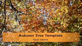 دانلود رایگان تم قالب پاورپوینت Autumn Tree