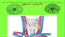 آموزش عنبیه شناسیتیرویید