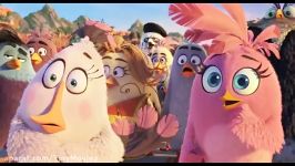 تریلر جدید انیمیشن The Angry Birds Movie