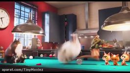 تریلر جدید انیمیشن The Secret Life of Pets