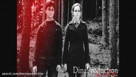 harry and hermione love