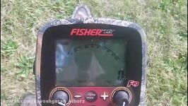 فلزیاب طلایاب Fisher F19