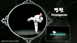 Kukkiwon 4º Poomsae Pyongwon