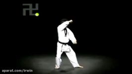 Kukkiwon 9º Poomsae Ilyeo