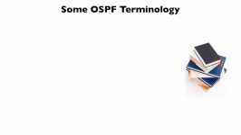 197.Some OSPF Terminology