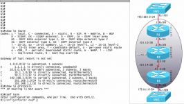 207.OSPFv2 Configuration and Verification