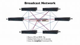 204.OSPF Network Types