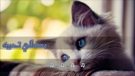 آهنگ عربی  بطلی تحبیه  الیسا  with farsi translation