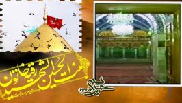 سید محسن زارع فاطمی  آب گرفتن قبر حضرت رقیه س