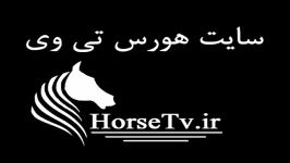 مسابقات چوگان گزارش تصویری اسب TV