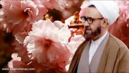 علی ع مردی انقلابی بود  شهید مطهری