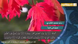 رعـد بـن محمد الکـردی ۩ سورة النبـأ قـراءة رائعة جدا