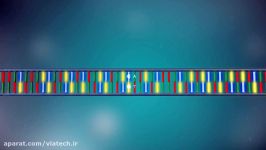 همانند سازی DNA