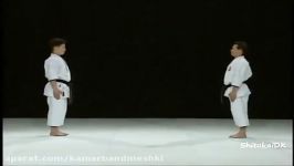 Saifa bunkai Shito Ryu Karate Do