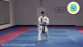 Annan  International Hayashi Ha Shito Ryu