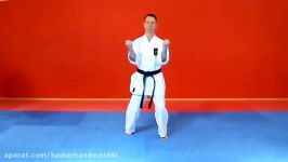 ShitoRyu Shukokai  Kata  sanchin