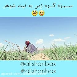 سبزه گره زدن دختر ترشیده ها خخخ#alishanbax