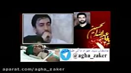 همه رفتن ای خدا من نرفتم کربلا  سید جواد ذاکر طباطبایی