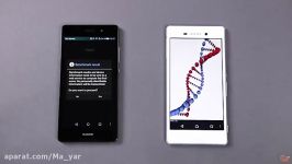 Huawei P8 Lite vs. Sony Xperia M4 Aqua