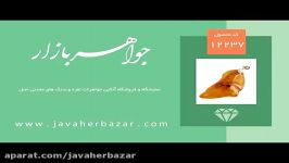 مدال کهربا حشره ای بولونی لهستان خوش رنگ کد 12237