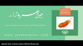 مدال کهربا حشره ای بولونی لهستان درشت زیبا کد 12231