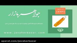 مدال کهربا حشره ای بولونی لهستان بلند بسیار  کد 12230