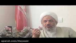 مصاحبه جنبش حیا حجت الاسلام المسلمین آقاتهرانی