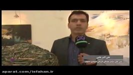 هفته نکوداشت اصفهان در نما دو شبکه دو