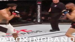 رضا مددی ناک اوت حریف در ufc