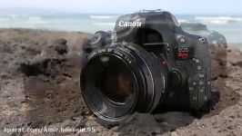 Canon Rebel T6s T6i Hands on Review