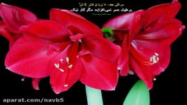 در چه صورت سه سجده در یک رکعت نماز را باطل نمی کند؟