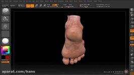 FOOT polypaint ZBRUSH4