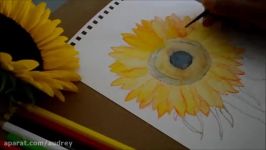 How to Paint Sun Flower With Water Color Revised