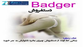 آموزش به خاطرسپاری لغت badger تکنیک زبان رمزی