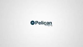 PELICAN