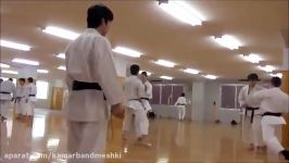 The Japan Karate Association founded in 1949 is the w