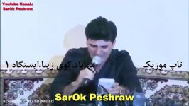 برهم شمامی 2016  منافه سه تونی به رز