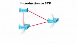 268.Introduction to STP