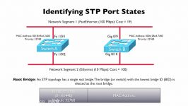 272.Identifying STP Port States