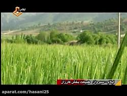 ایلام  سیروان طبیعت بخش کارزان