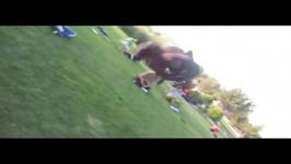 PARKOUR QOM 2011