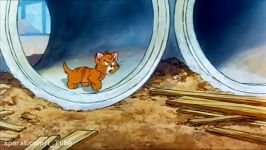 Oliver And Company  Why Should Worry