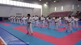 کاراته اوکیناوا مقایسه کاراته ژاپن❊OKINAWA vs. JAPAN