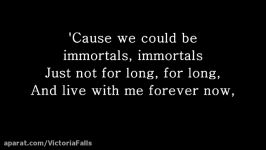 Immortals  Fall Out Boy Lyrics